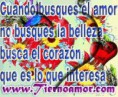 /album/fotogaleria/krcarobod0ca7a1mgkcav5kwuacadn0itkcaz73n3scaxel6otca71lck6cag4f8p6camje4fsca24gcikcaxdk0xocahvj97lcaael58ycanvey6vcay55e50caga6b5hca2qvdja-jpg/